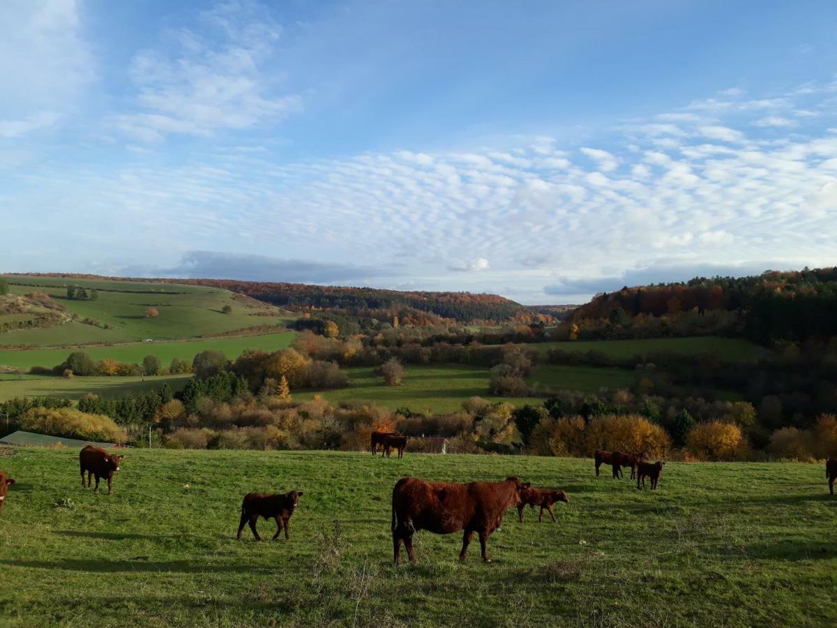Gite Aux Lauriers Lacroix-sur-Meuse Eksteriør bilde